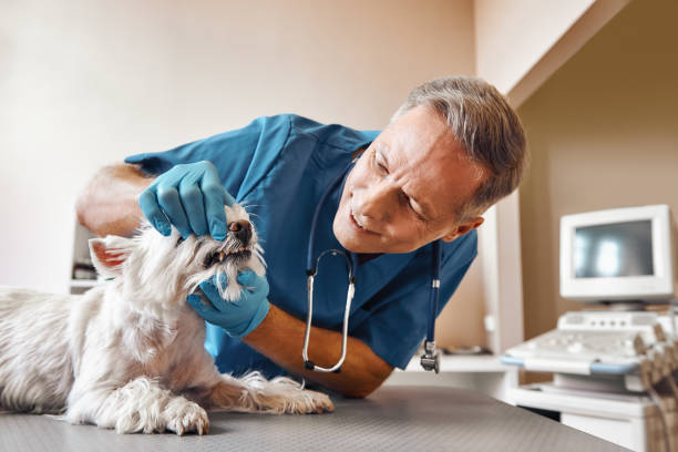 Best Emergency Tooth Extraction in Columbus, IN